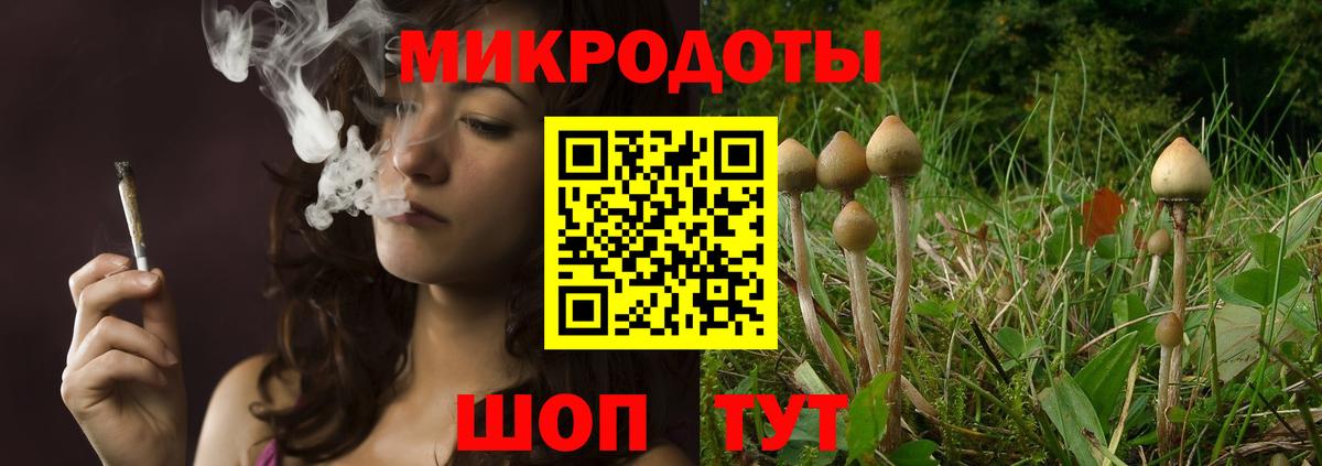 Галлюциногенные грибы Magic Shrooms Дятьково